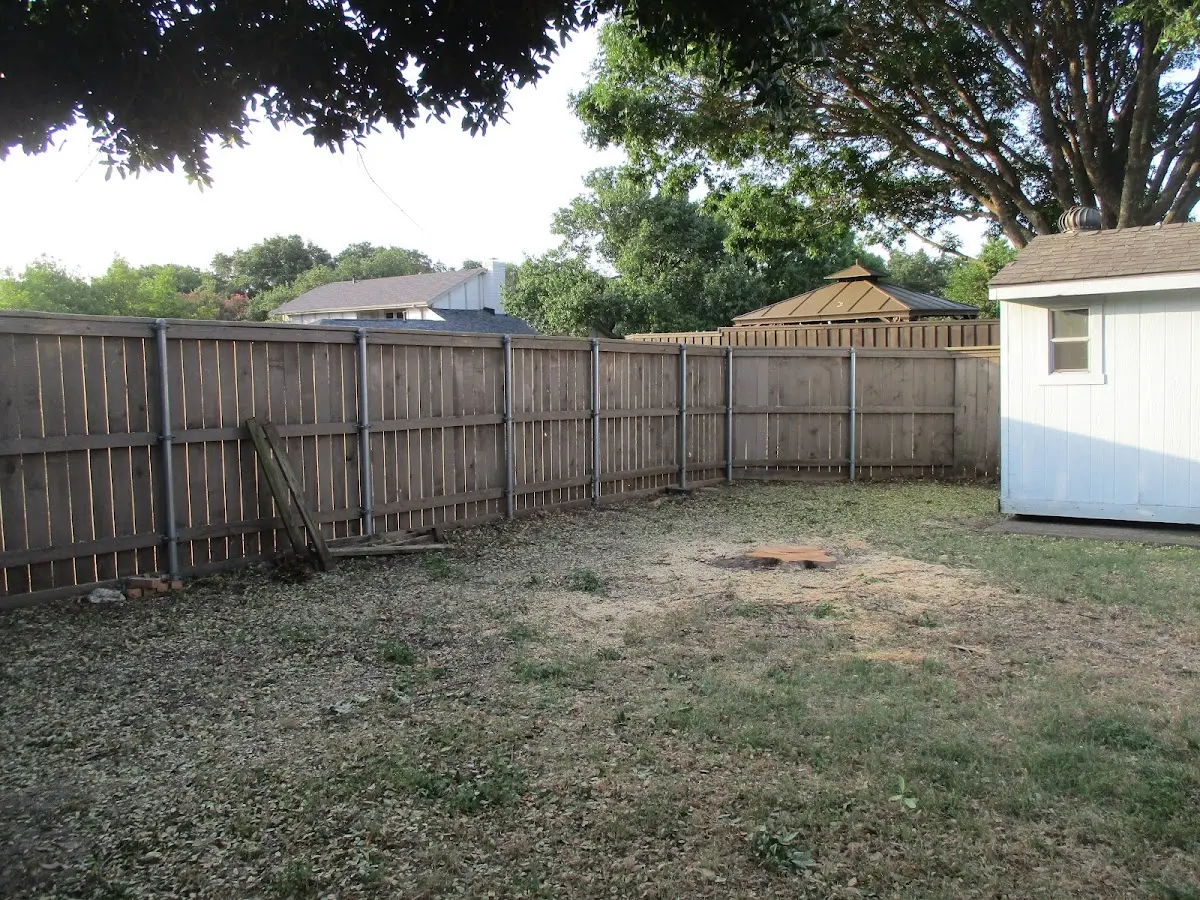 Cleared yard after professional tree removal in Scotia