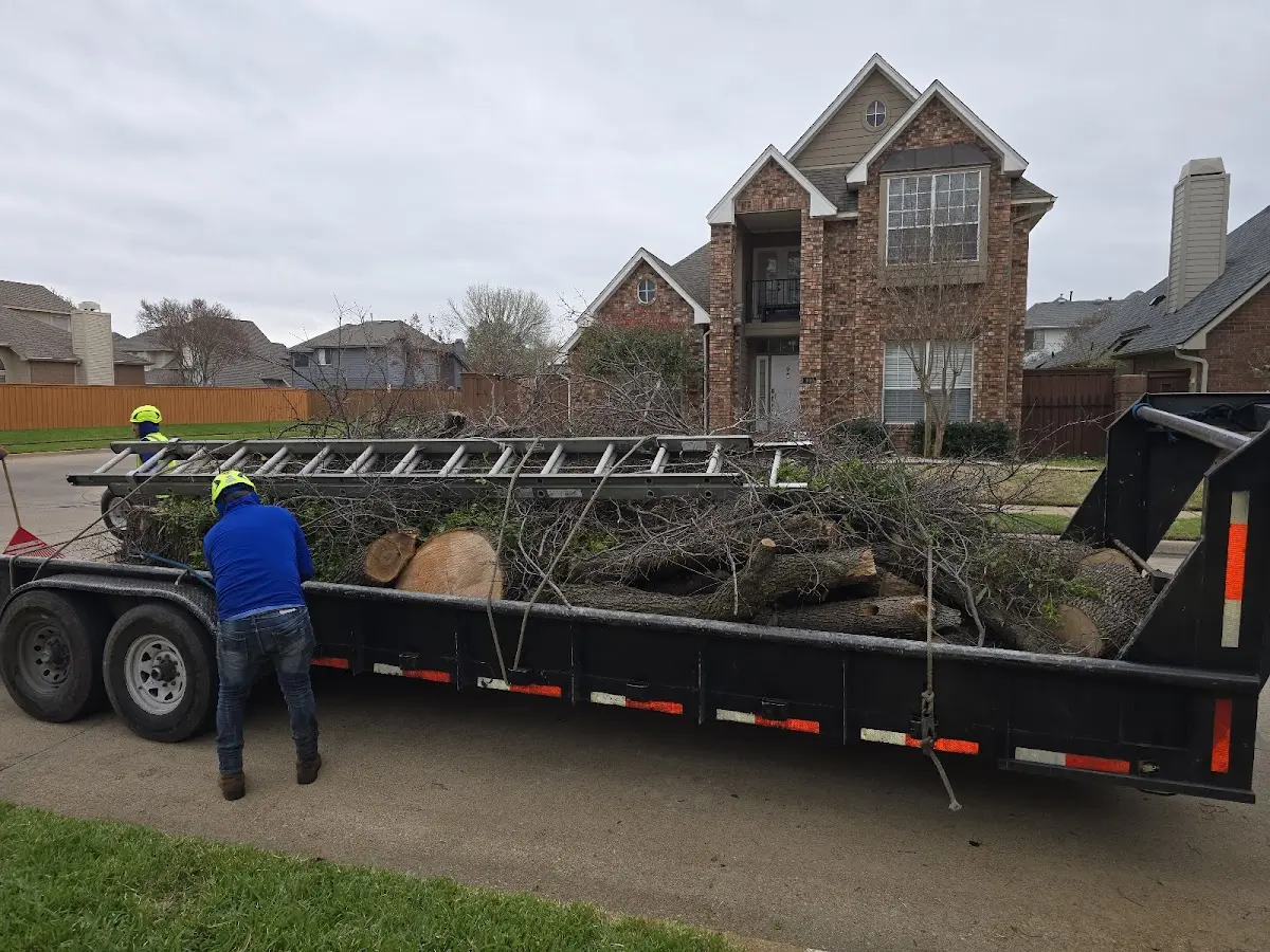 Expert Lot Clearing with proper safety equipment in Scotia